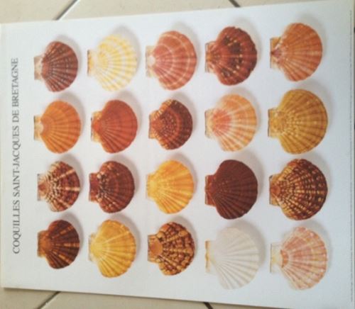 Acheter Coquilles Saint-Jacques De Bretagne - 40x50 cm - AFFICHE / POSTER État correct - 16,99 € Coquilles Saint-Jacques De Bretagne - 40x50 cm - AFFICHE / POSTER État correct - N/A reconditionné disponible sur Fnac