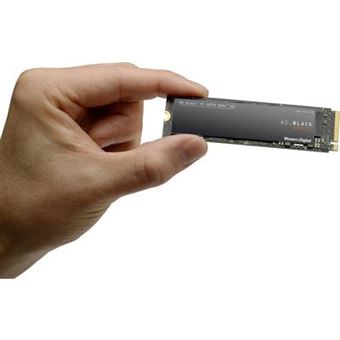 WD Black SN750 NVMe SSD WDS250G3X0C - SSD - 250 Go - interne - M.2