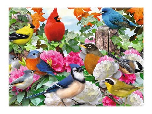 Ravensburger - Garden Birds - puzzle - 500 pièces