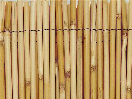 Paillon de roseaux entiers REEDCANE - 1 x 5 m