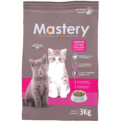 Chaton Achat Vente De Chaton Pas Cher Chaton Achat Vente De Chaton Pas Cher