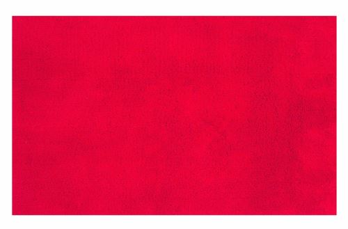 Spirella 10.15589 True Tapis de Bain Rouge 55 x 65 cm