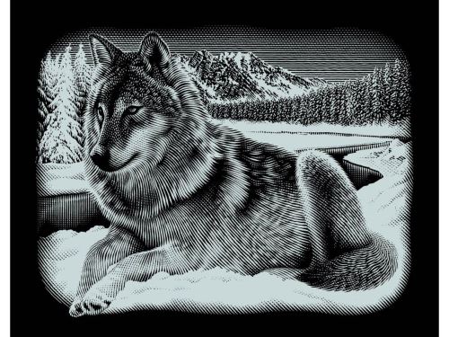Mammut - Scraper Silber groß Querformat - Wolf