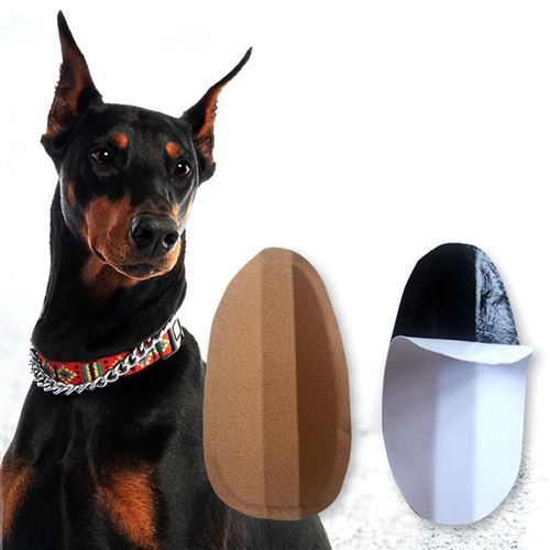 Doberman Pinscher Correcteur d'assistance d'oreille Debout Autocollant FONGWAN pour Chien, Brun - M