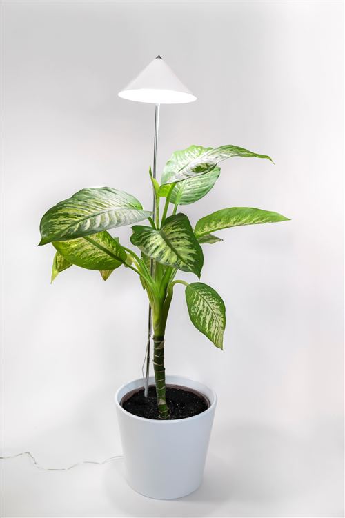 Esschert - Lampe de croissance des Plantes serre blanche - y compris lampe  LED - avec