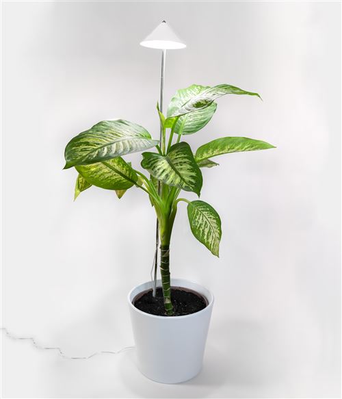Parus by Venso Lampe à plantes SUNLiTE XL 25W blanc, lampe de croissance  LED avec tige télescopique, lampe de croissance pour plante - Matériel pour  serre et semis - Achat & prix