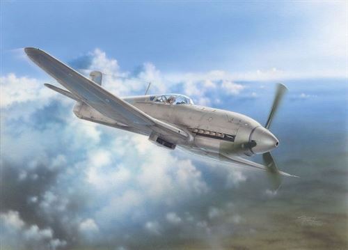 Heinkel He 100d Soviet And Japanese Plan - 1:32e - Special Hobby