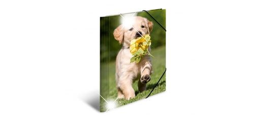 Non Communiqué Noir Herma Herma Chemise À Élastiques "Chiens" Pp Glossy, A4