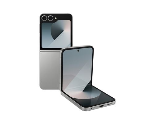 Samsung Galaxy Z Flip6 Enterprise Edition 17 cm (6.7 ) Double SIM Android 14 5G USB Type-C 12 Go 256 Go 4000 mAh Argent