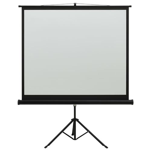 vidaXL Écran de projection avec support 60 1:1
