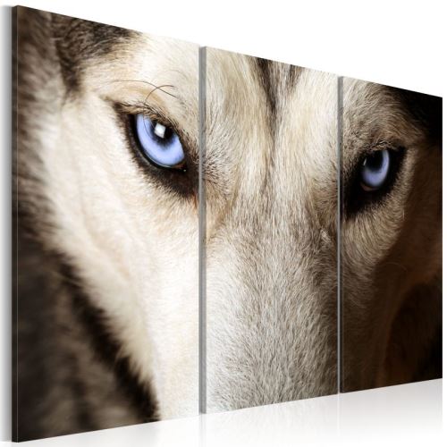 Tableau - Face to face with fear .Taille : 120x80