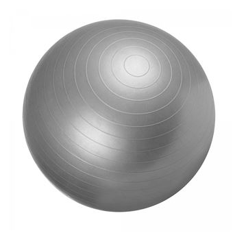 Swiss ball - Ballon de gym 65cm Gris - Accessoire fitness yoga et