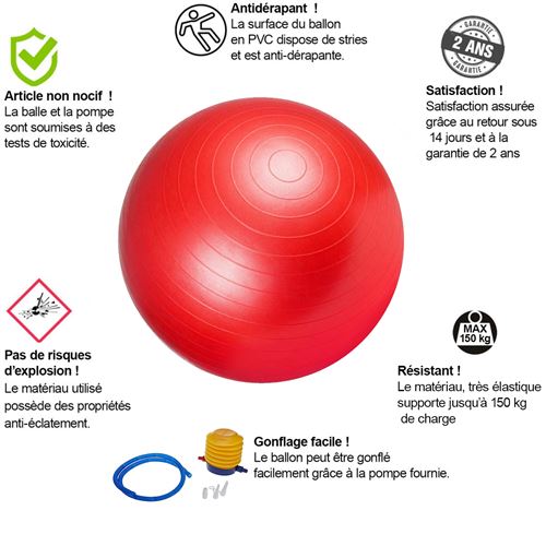 Swiss Ball 150kg 65cm avec pompe pour Pilates et Yoga à la maison!