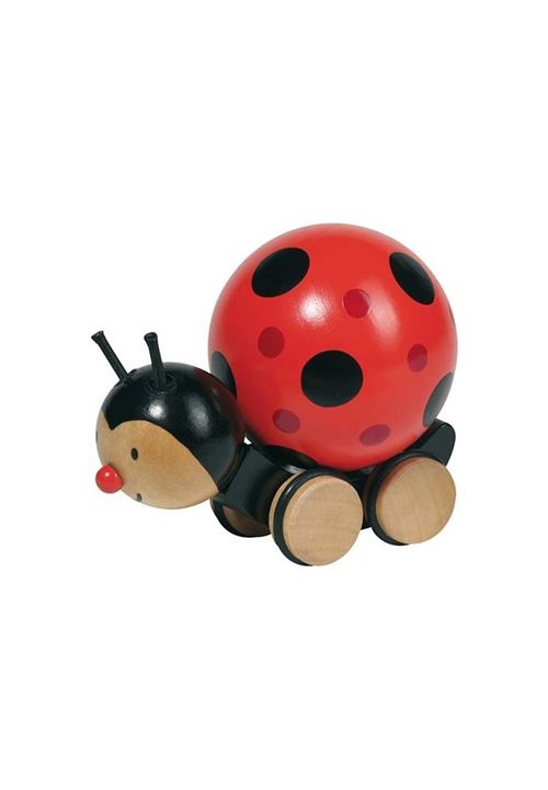 coccinelle à pousser