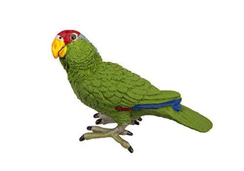 Safari Ltd Ailes du monde Amazone à joues vertes