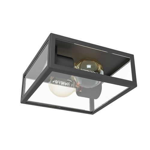 Eglo 94832 Lampe d'extérieur, argent