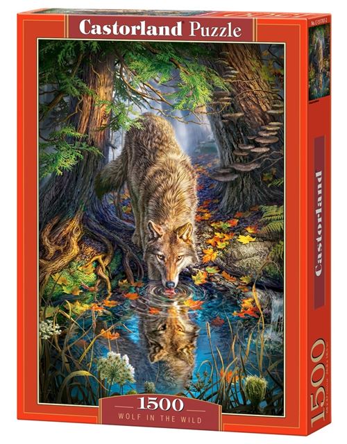 Puzzle Castorland - Loup dans la nature, 1500 pièces