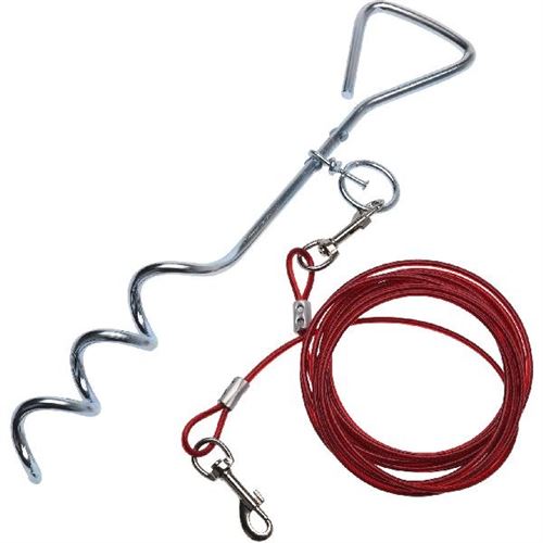 Ligne de chien avec stylo au sol