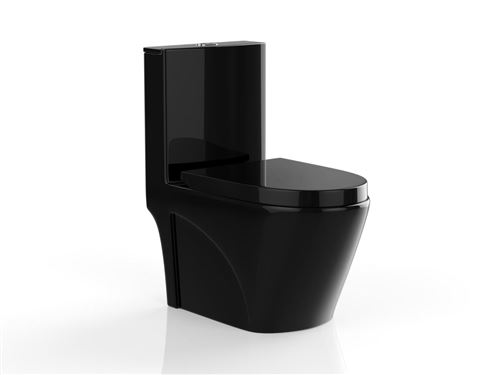 WC à poser noir brillant en céramique - NAGILAM