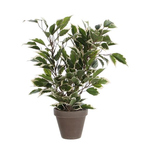 Plante d&eacute;corative mica decorations 4 x 11,5 cm c&eacute;ramique pvc ficus