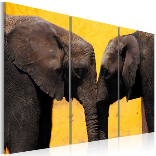 Tableau - Boisou des éléphents .Taille : 90x60