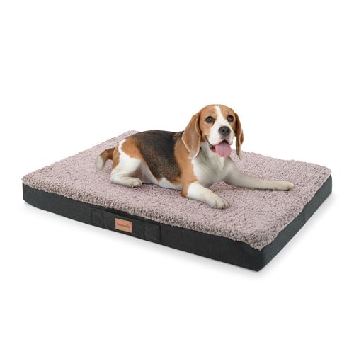 Meilleurs prix pour Panier pour chien - Brunolie Balu - Coussin pour chien - Taille M (79 x 8 x 60 cm) - Mousse - Gris