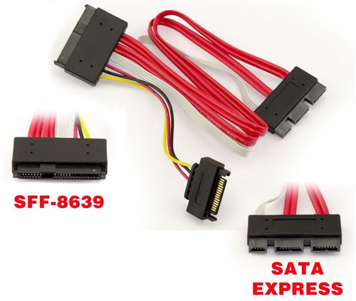 Cordon MiniSAS SFF-8639 vers SATA EXPRESS Longueur 30cm