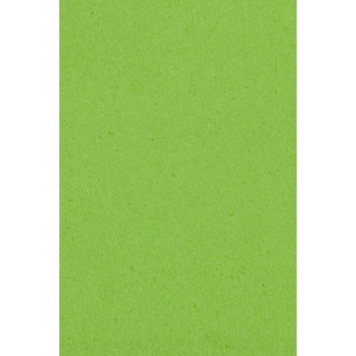 Amscan nappe de table kiwi 137 x 274 cm plastique