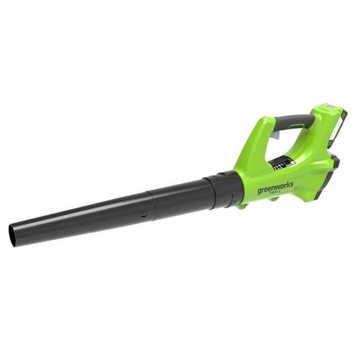 GREENWORKS Souffleur axial electrique G24ABK2 - 24 V - 1 batterie + 1 chargeur - Vert