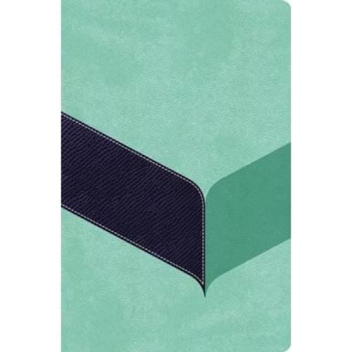 NIV, the Woman's Study Bible, Imitation Leather, Blue/Green