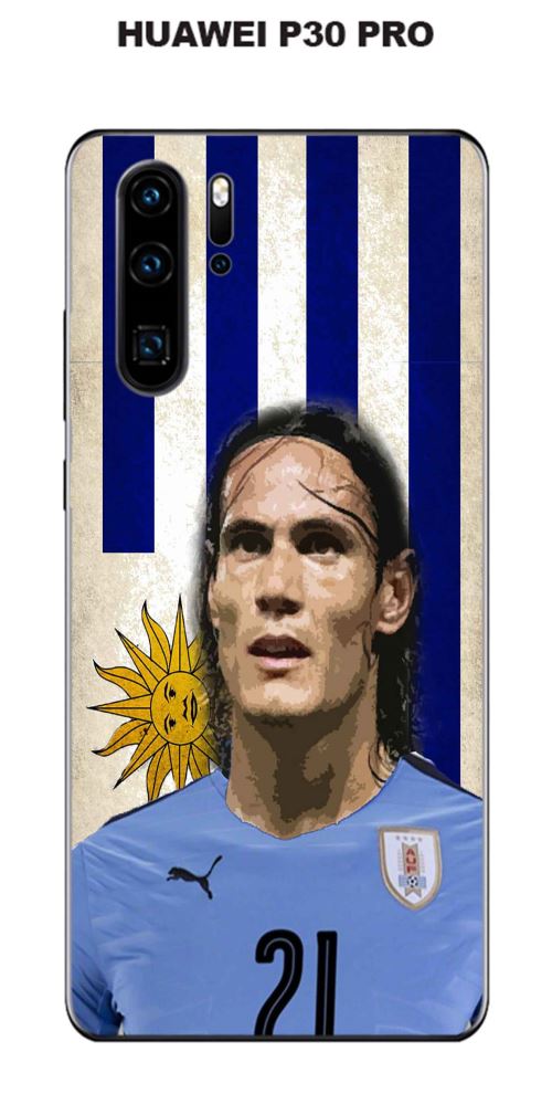Coque Huawei P30 PRO design Cavani & Drapeaux