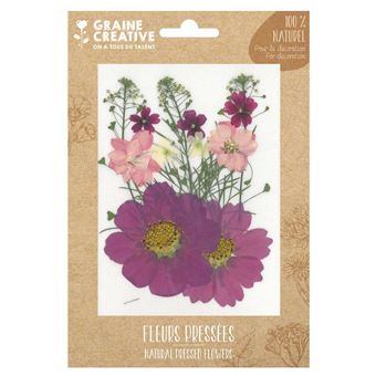 14 fleurs pressées - prairie parme - Graine Créative - 1
