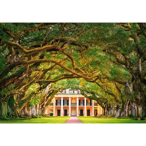  Castorland Oak Alley Plantation, Puzzle 1000 Teiles - - Puzzle