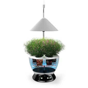 Acheter Jardinière intelligente pour plantes d'intérieur, jardin d'intérieur,  lumière de croissance avec lampe de Table et de bureau LED, humidificateur d'horloge