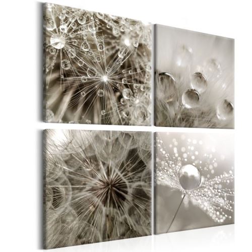 Tableau - Grey Dandelion .Taille : 40x40