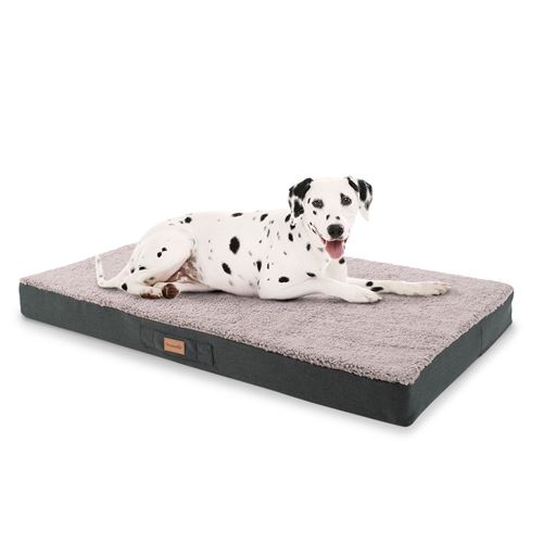 Panier pour chien - Brunolie Balu - Coussin pour chien - Taille XL (120 x 10 x 72 cm) - Mousse - Gris