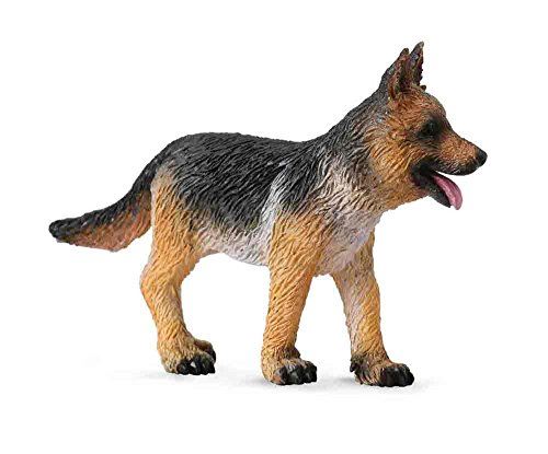 Collecte d'un chiot de berger allemand