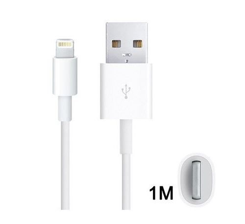 INECK® Câble pour iPhone iPad Câble Lightning vers USB Recharge et Data Sync pour iPhone X 8 Plus 7 Plus 6S Plus 6 Plus 5C 5S 5 SE, iPad Pro, iPad Air, iPad Mini etc. 1M