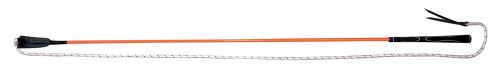 WHIP & GO Stick éthologique