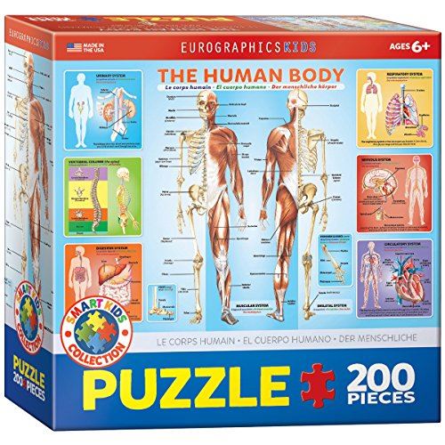 EuroGraphics Human Body Jigsaw Puzzle (200-Piece)