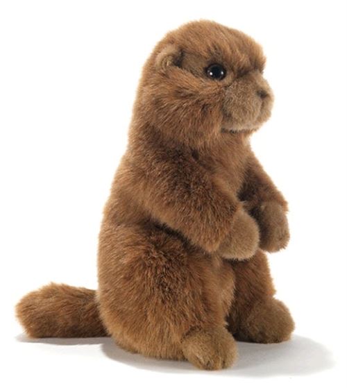 Plush & Company 15894 Silvy Marmotta Peluche, 23 cm