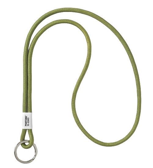 Pantone porte-clés 48 cm nylon vert