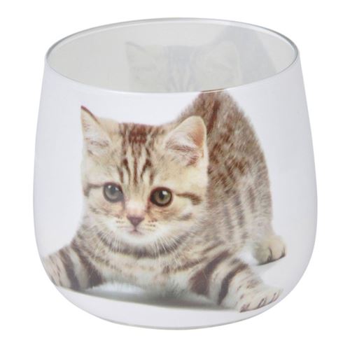 Paris Prix Blanc Bougie Anti-Odeurs "Chat" 8Cm