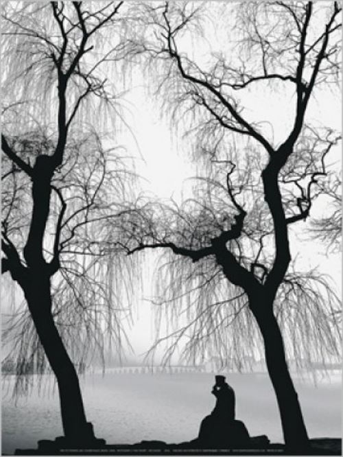 Arbres Poster Reproduction - Lac Kunming, Palais D'Eté Par Yvan Travert (40x30 cm)