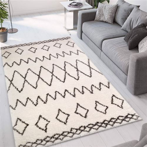 Tapis de salon ultra doux Pet Friendly de style shaggy Marrakesh BIA001, Taille: 200 x 300
