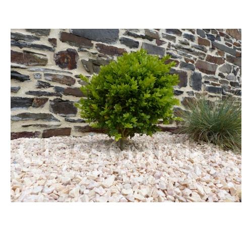Gravier Jaune Pack de 7 M² 10-15 mm