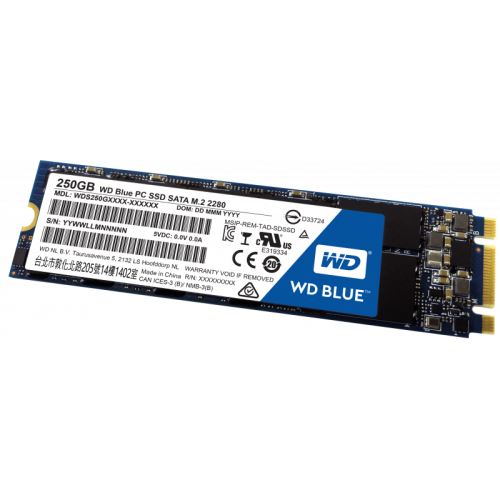 WD Blue PC SSD WDS250G1B0B - Disque SSD - 250 Go - SATA 6Gb/s