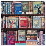 Puzzle 1000 pièces : Bibliothèque Vintage