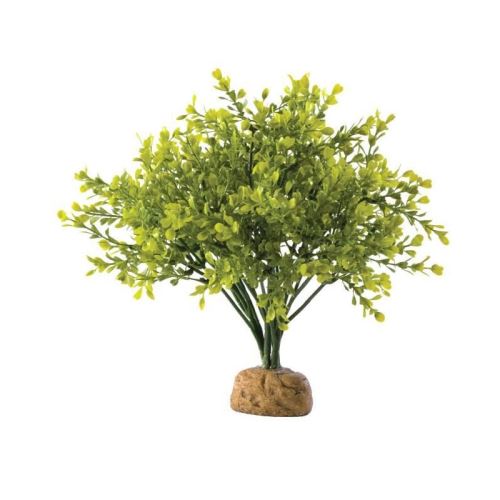 Meilleurs prix pour exo-terra buisson de buis - pour reptile ou amphibien