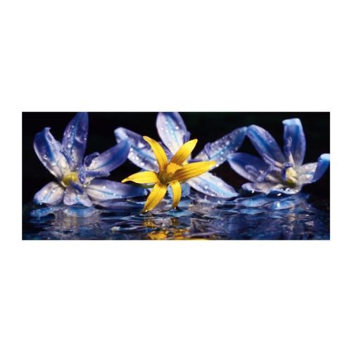 INNOVA Décoration murale Glassart - 50 x 120 cm - Lillies with water